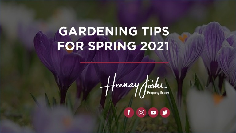 Gardening Tips For Spring