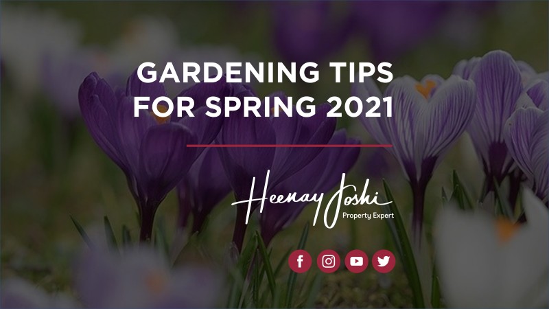 Gardening Tips For Spring 2021