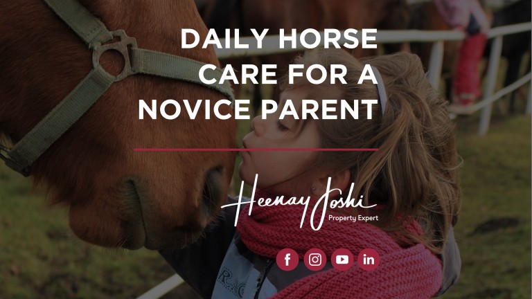 DAILY HORSE CARE FOR A NOVICE PARENT: YOUR CHILD'S PATH TO EQUINE HAPPINESS